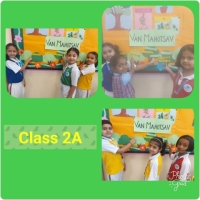 Class II-A (1)